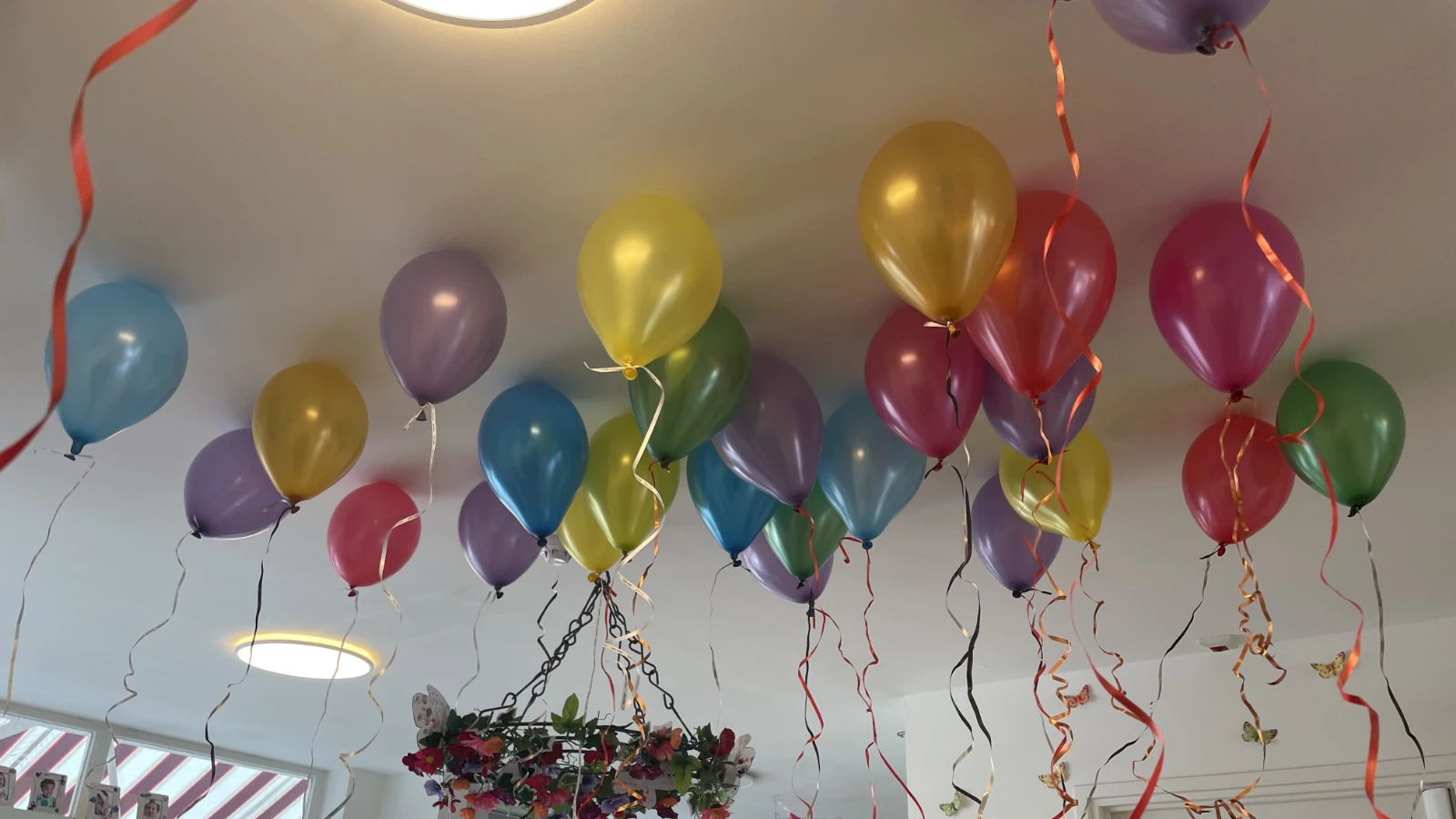 Slider afbeelding: img_5076-1.jpeg