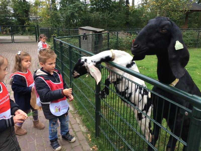 Naar de kinderboerderij